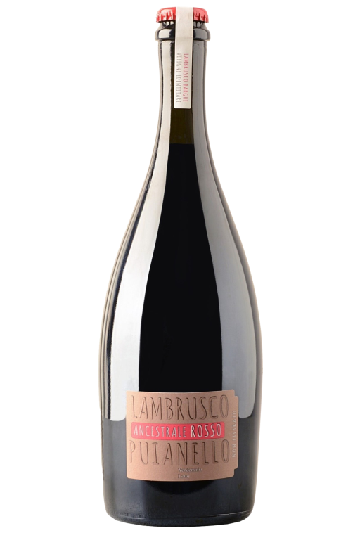 Ancestrale Rosso Lambrusco Emilia IGP Frizzante Bio